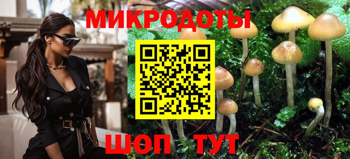 Галлюциногенные грибы MAGIC MUSHROOMS Коммунар